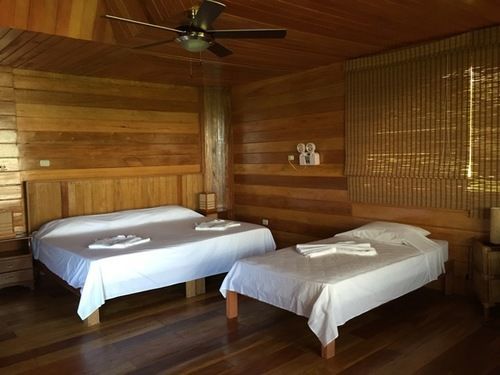Samiria Ecolodge Iquitos Bagian luar foto